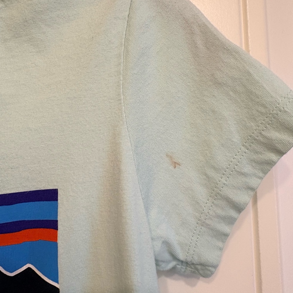 Patagonia Kids Youth XL 14 Graphic T Shirt Organic Cotton Light Green - Picture 10 of 11